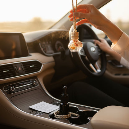 Mangue & Noix de Coco • Vanille